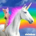 unicorncat
