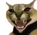 hissingnoise hissingnoise