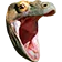 KomodoHype