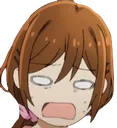 Hori_shock Hori_shock