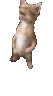 michaelgif
