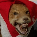 furry2 Discord emoji