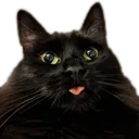 pnelopeblep