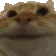 cnod