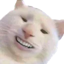 kotsmile3