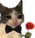 snazzygentlemancat Discord Emoji