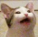 ch_oatmealangry