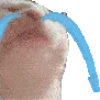 catJAMSAD