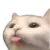 Cat_blehh