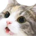 D1_shocked_kitten Discord Emoji