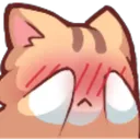 Cat Blush Cat_Blush Discord Emoji