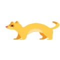 ferret