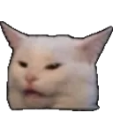 Confused Cat confusedCat Discord Emoji