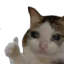 Sad Cat Thumbs Up sadcatthumbsup Discord Emoji