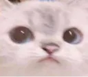 Scared2