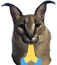floppapray