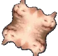 EchQuadRotate