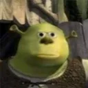 wtf