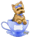 puppy