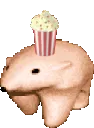 popcornbear