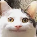 emoji_31