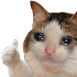 4_catwhaaacatthumbsup Discord emoji