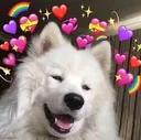 so_much_love so_much_love