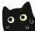 cat_sweat