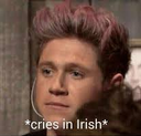 e115_cries_in_irish Discord emoji