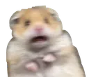 ScaredHamster