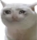 crycat