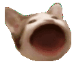 Pop Cat Discord emoji