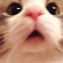 MS_Uh Discord emoji