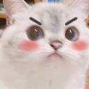 d_Mad Discord emoji