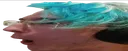 terrapog terrapog