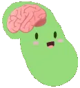 big_brain_bean
