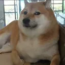 mynameisjeff