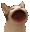 cat_gif_boop
