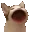 cat_gif_boop