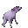 dance_dog