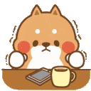 ymshibi_1