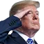 trump_salute