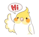 hi hi