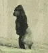 xwarrior_walking