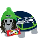 M_marshawnTurtle