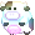 cowrainbowroll
