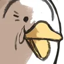 duck_suprirse