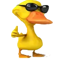 Pato_SPACE1