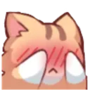 Catblush CatBlush Discord Emoji