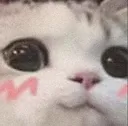 weeb_cat Discord Emoji